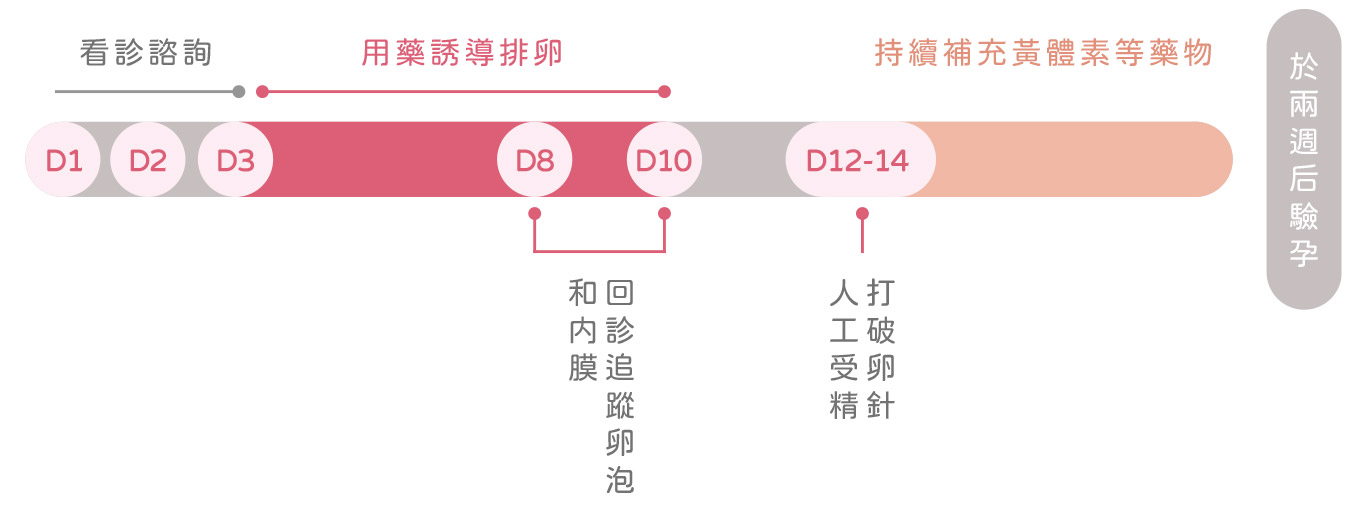 療程流程