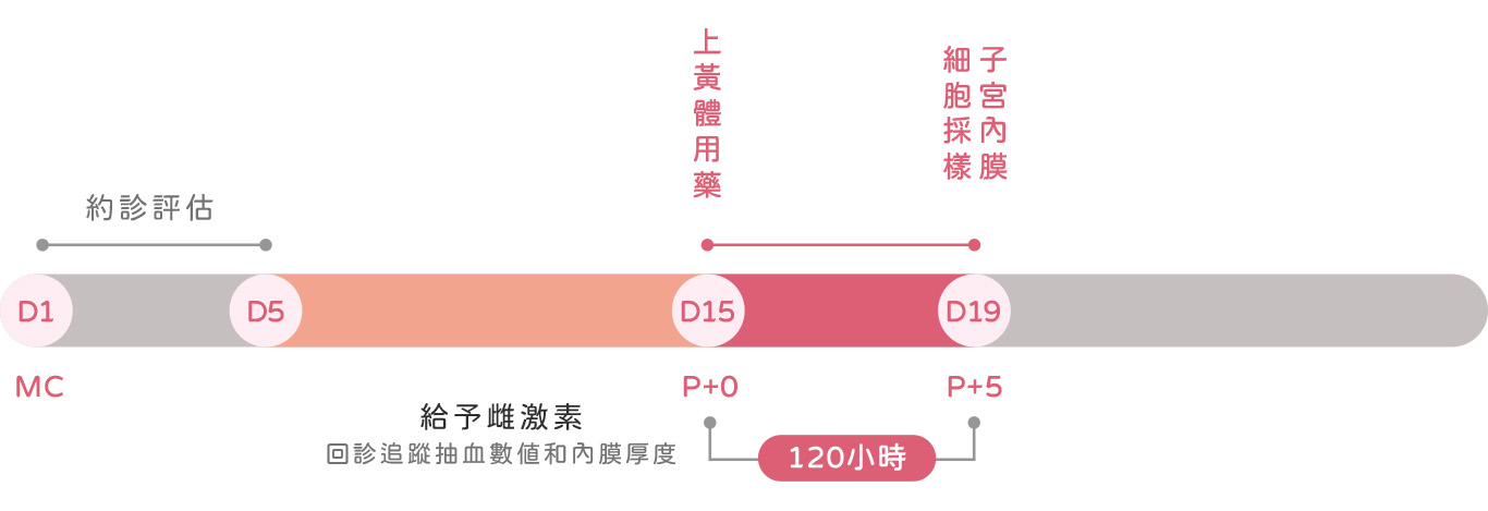 檢測流程