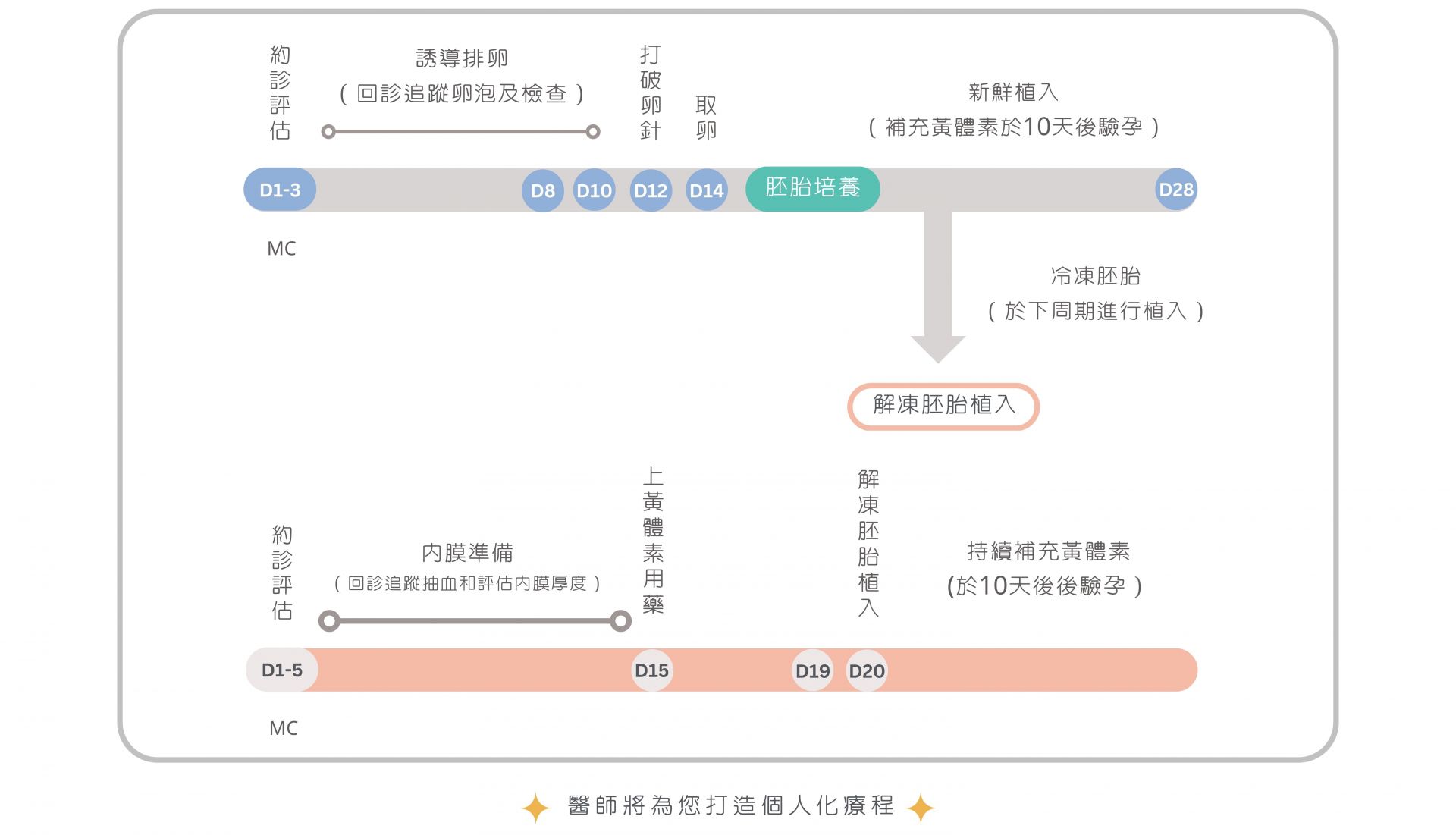 試管嬰兒療程流程